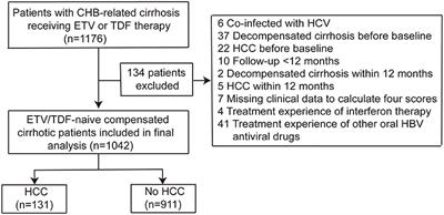 External Validation of aMAP Hepatocellular Carcinoma Risk Score in Patients With Chronic Hepatitis B-Related Cirrhosis Receiving ETV or TDF Therapy